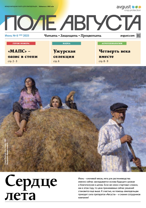 Газета «Поле Августа»