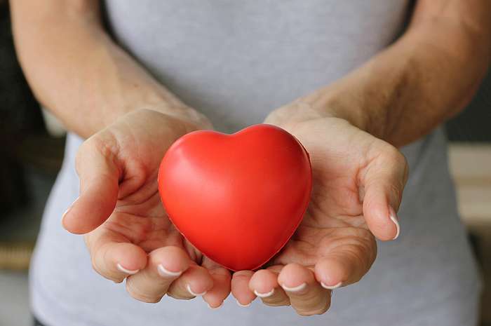 ტერიტორიების კეთილმოწყობა