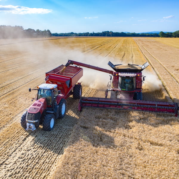 საველე მოსავლის მოსავლის გაანგარიშება