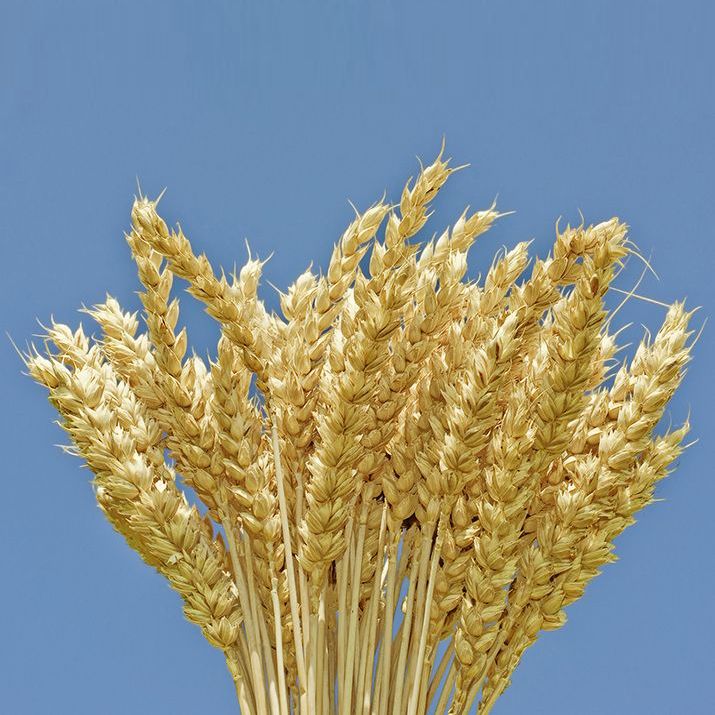 "აგვისტო-კამას შესართავი"