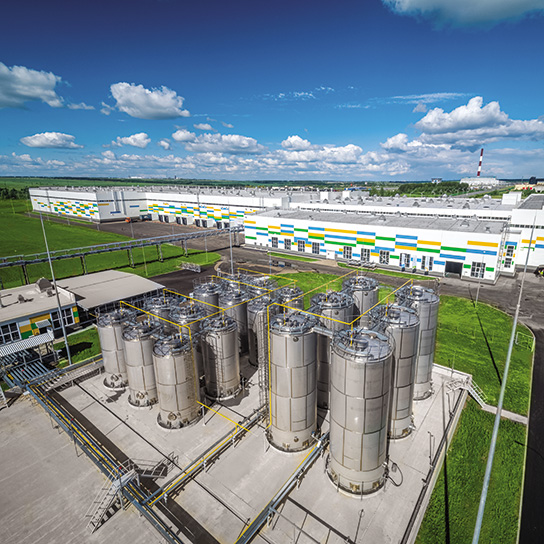 ეკოლოგია