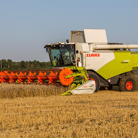 "აგვისტო-მუსლიუმი"